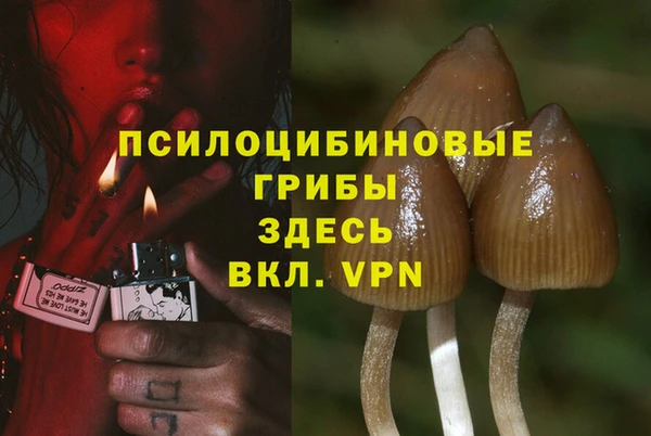 каннабис Богородицк