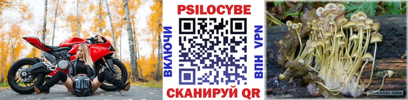 Галлюциногенные грибы Psilocybine cubensis  MEGA ССЫЛКА  Колпашево 